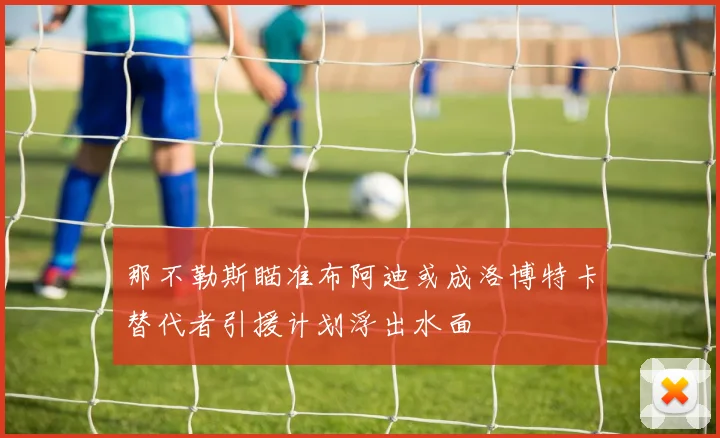 那不勒斯瞄准布阿迪或成洛博特卡替代者引援计划浮出水面