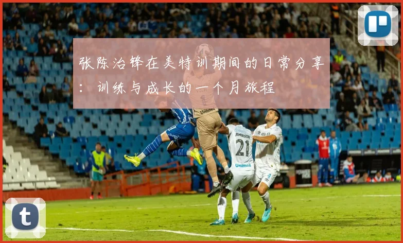 张陈治锋在美特训期间的日常分享：训练与成长的一个月旅程